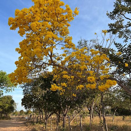 Fervedouro E Pousada Por Enquanto Sao Felix do Tocantins Zewnętrze zdjęcie